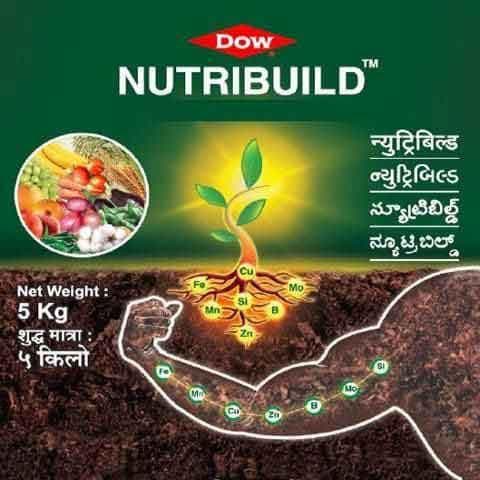 DOW NUTRIBUILD Zn EDTA 12% ( Chelate) - 250 gm product  Image