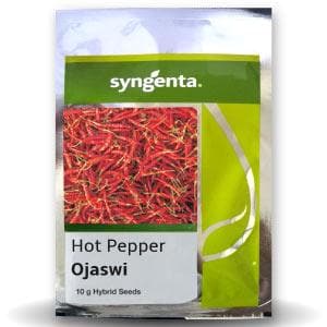 OJASWI CHILLI (HPH-017) product  Image 1