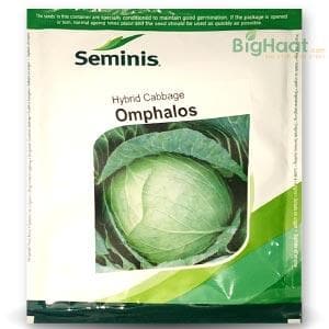 OMPHALOS CABBAGE SEEDS product  Image 1