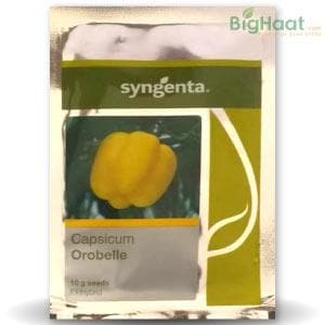 OROBELLE CAPSICUM product  Image 1