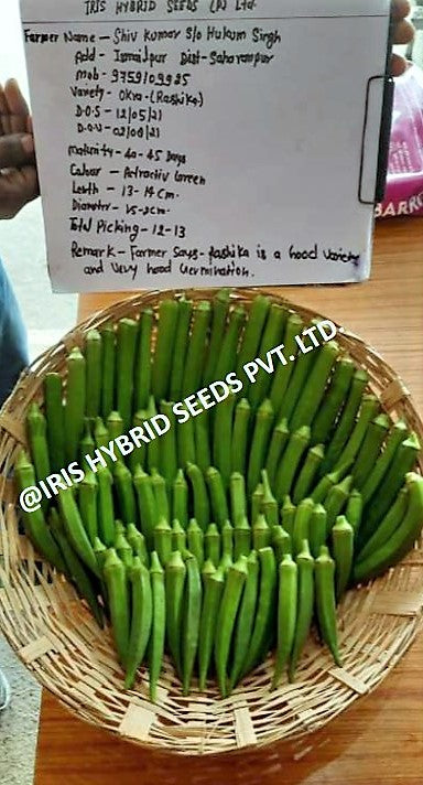 IRIS HYBRID VEGETABLE SEEDS OKRA(BHINDI) RASIKA product  Image 4