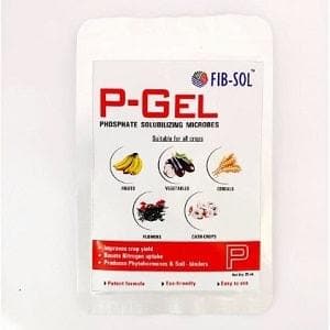 FIB SOL P-GEL – BIOACTIVE: PHOSPHATE SOLUBLIZING BACTERIA product  Image