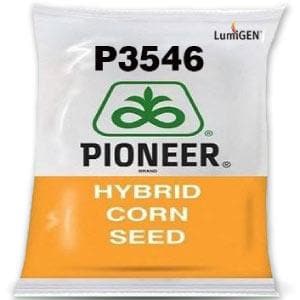 LUMIGEN P3546 CORN product  Image 1