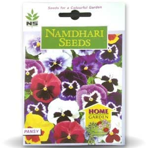 NS PANSY SWISS GIANT REGULAR MIX FLOWER product  Image