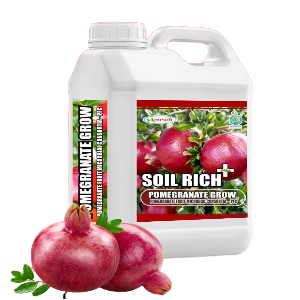 AMRUTH POMEGRANATE GROW (FERTILIZERS) product  Image 1