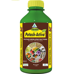 PREMIUM POTASH ACTIVA (POTASH MOBILIZING BACTERIA) product  Image 1