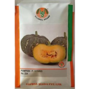 UJJWAL PUMPKIN US 234 F1 HYBRID SEEDS product  Image 1