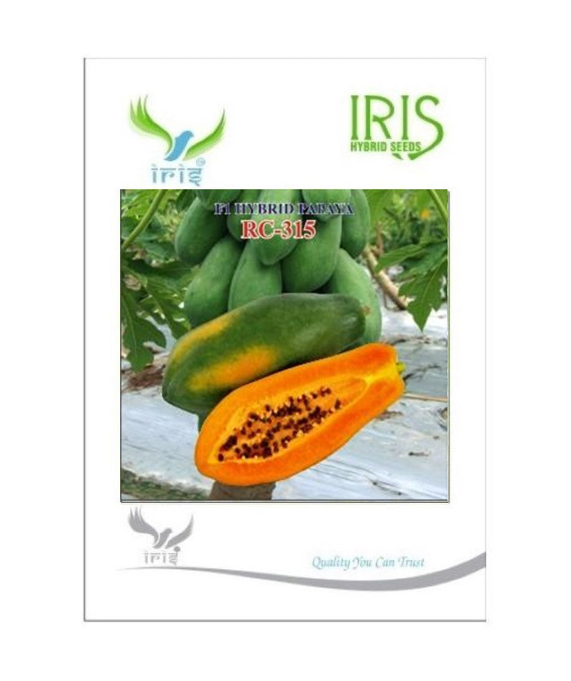 IRIS RC-315 PAPAYA SEEDS product  Image 2