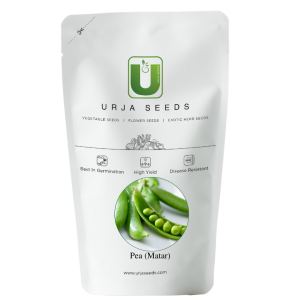 URJA MATAR PEA(IMPORTED) product  Image 2