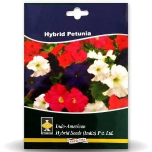 PETUNIA SEEDS product  Image 1