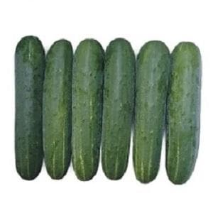 RUCHITA CUCUMBER product  Image