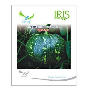 IRIS HYBRID VEGETABLE SEEDS F1 HYBRID PUMPKIN IHS-205 product  Image 1