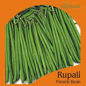 RUPALI FRENCH BUSH BEAN (OP) product  Image 1