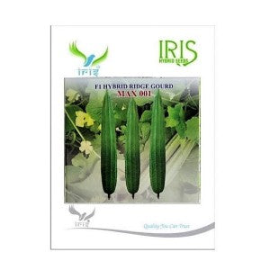 IRIS HYBRID VEGETABLE SEEDS F1 HYBRID RIDGE GOURD MAX001 product  Image 1