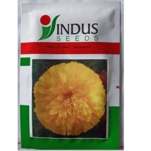 INDUS BIJILEE YELLOW MOON SEEDS product  Image 1