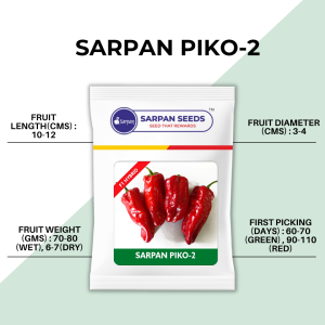 SARPAN PIKO-2 SEEDS product  Image 2