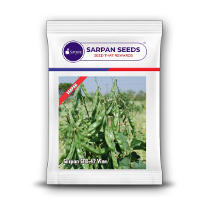 SARPAN DOLICHOS SFB 42 VINE HYBRID SEEDS product  Image 1