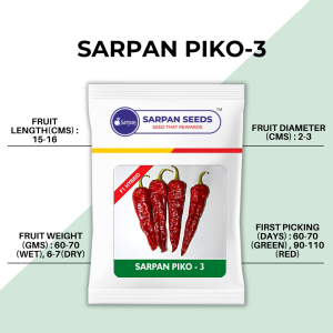 SARPAN PIKO-3 SEEDS product  Image 2