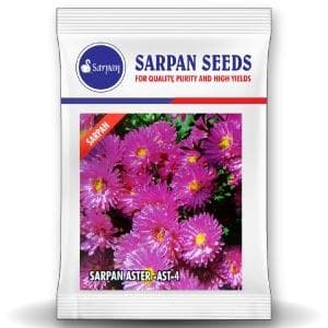 SARPAN HYBRID ASTER - AST-4 (SEEDS) product  Image 1