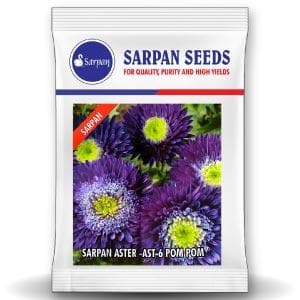 SARPAN HYBRID ASTER - AST-6 POMPOM (SEEDS) product  Image 1