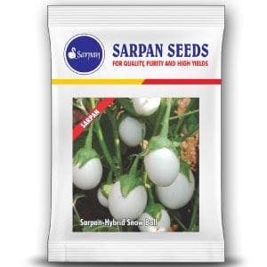 SARPAN HYBRID- SNOW BALL BRINJAL (SEEDS) product  Image 1