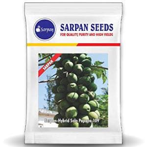 SARPAN HYBRID PAPAYA SOLO-109 (SEEDS) product  Image