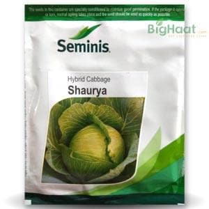 SHAURYA CABBAGE product  Image 1