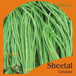 SHEETAL COWPEA-POLE (GREEN) (OP) product  Image 1