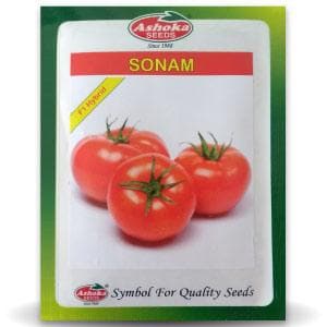 SONAM TOMATO SEEDS ( सोनम टमाटर ) product  Image 1