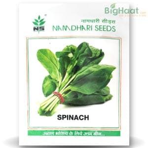NS 1466 SPINACH product  Image