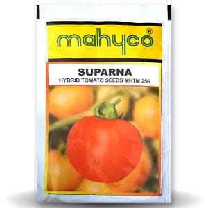 SUPARNA TOMATO SEEDS ( सुपर्णा टमाटर ) product  Image 1