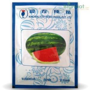 SUPRIT (सुप्रीत) WATER MELON product  Image 1