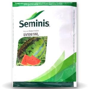 SV5061WL WATER MELON product  Image 1