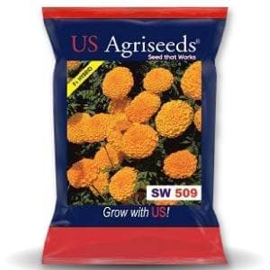 SW 509 MARIGOLD SEEDS product  Image 1