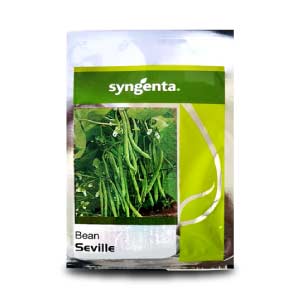 SEVILLE BEANS product  Image 1