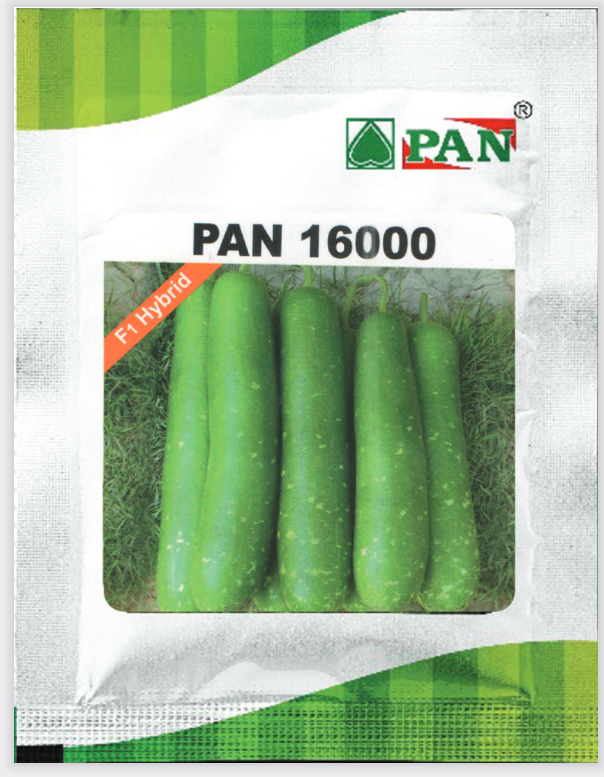 PAN BOTTLE GOURD 16000 product  Image 2