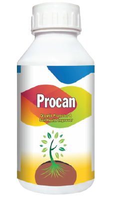 PROCAN (GROWTH PROMOTER) product  Image 2