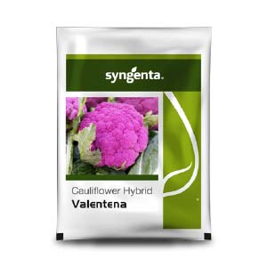 VALENTENA CAULIFLOWER (फूलगोभी) product  Image