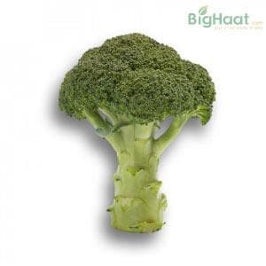 TAHOE RZ F1 BROCCOLI product  Image 2