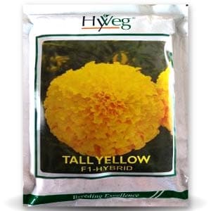 TALL YELLOW MARIGOLD product  Image 1