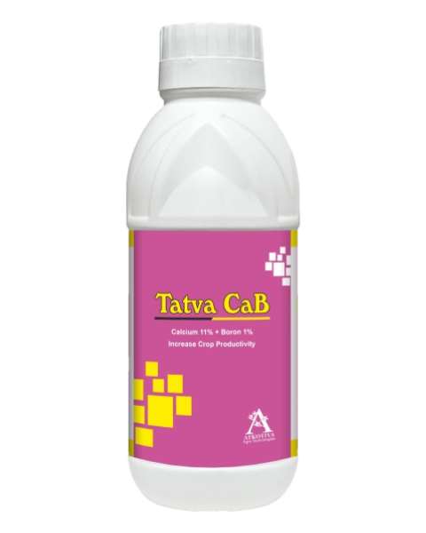 Atkotiya Tatva CaB product  Image 1