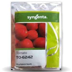 TO-6242 TOMATO SEEDS product  Image 1