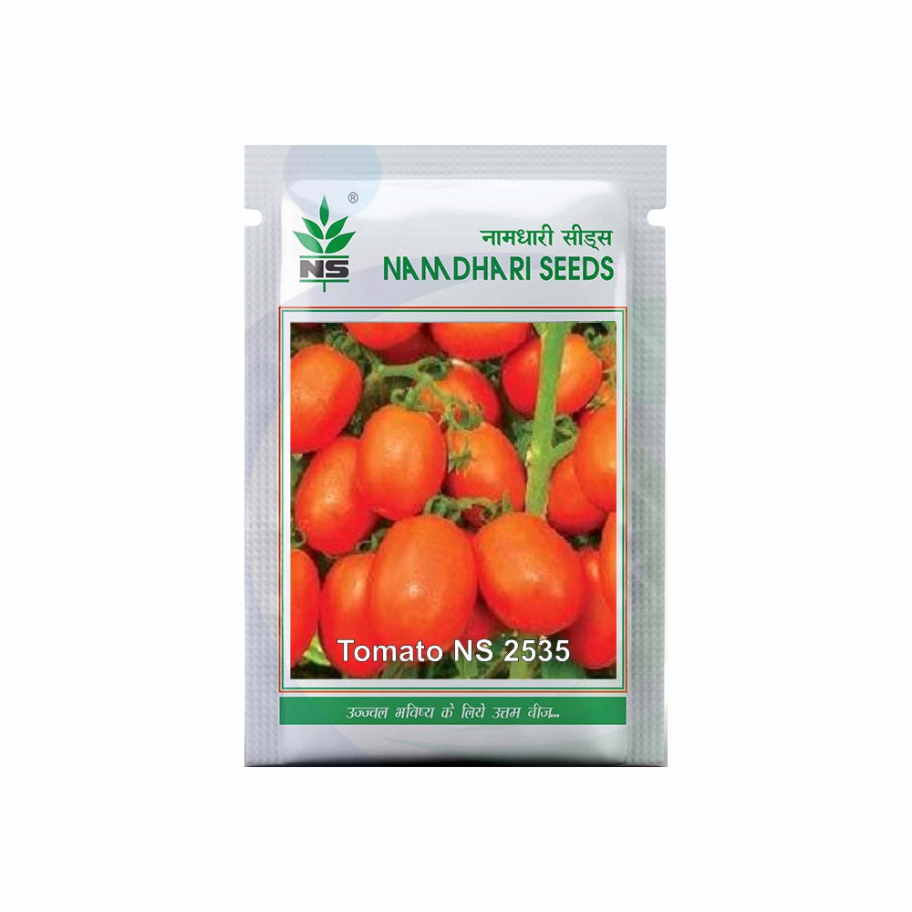 NS 501 (6H 81) Tomato Seeds Buy At Best Price | BigHaat