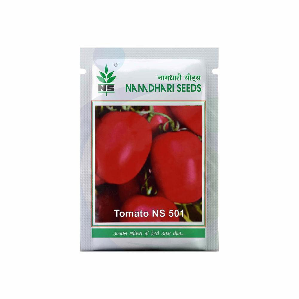 NS 501 (6H 81) TOMATO SEEDS product  Image 1