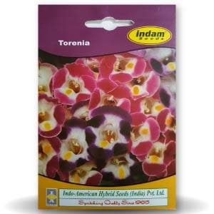 TORENIA product  Image