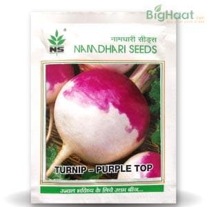 NS 1481 TURNIP PURPLE TOP product  Image