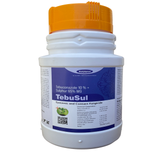 KATYAYANI TEBUSUL (EFFECTIVE FUNGICIDE) product  Image 1