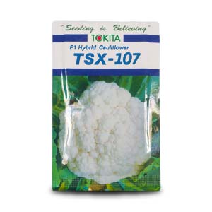 TSX-107 F1 HYBRID CAULIFLOWER product  Image 1