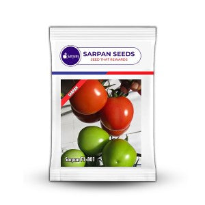 SARPAN TOMATO-801 SEEDS product  Image 1