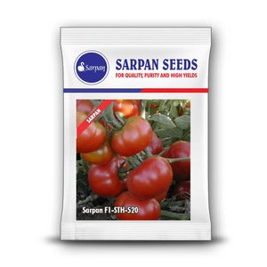 SARPAN TOMATO F1 - STH - 520 product  Image 1